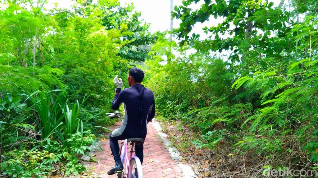Banyak Kucing di Pulau Tidung Kecil, Ternyata Ini Sebabnya